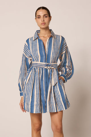 Tiana Mini Dress